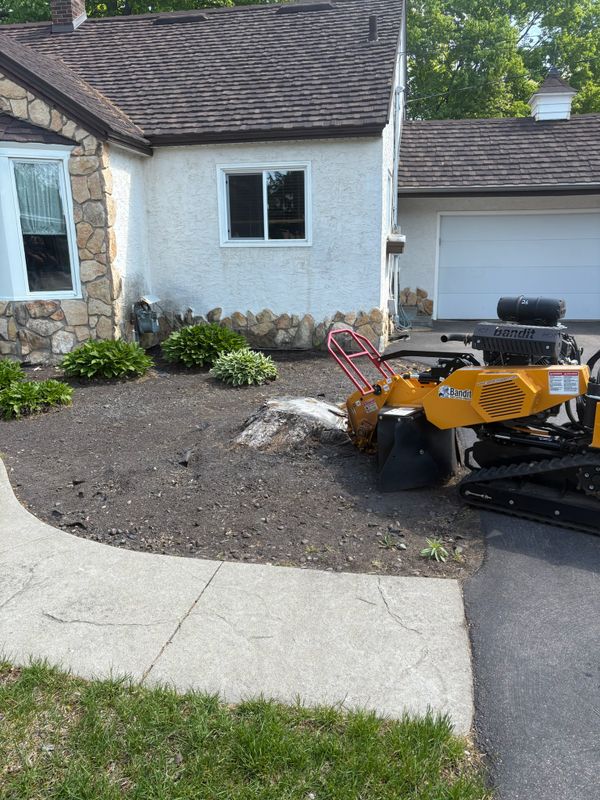 Stump Grinding