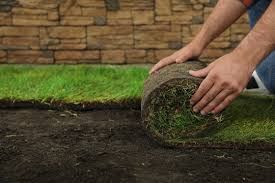 Lawn Treatment