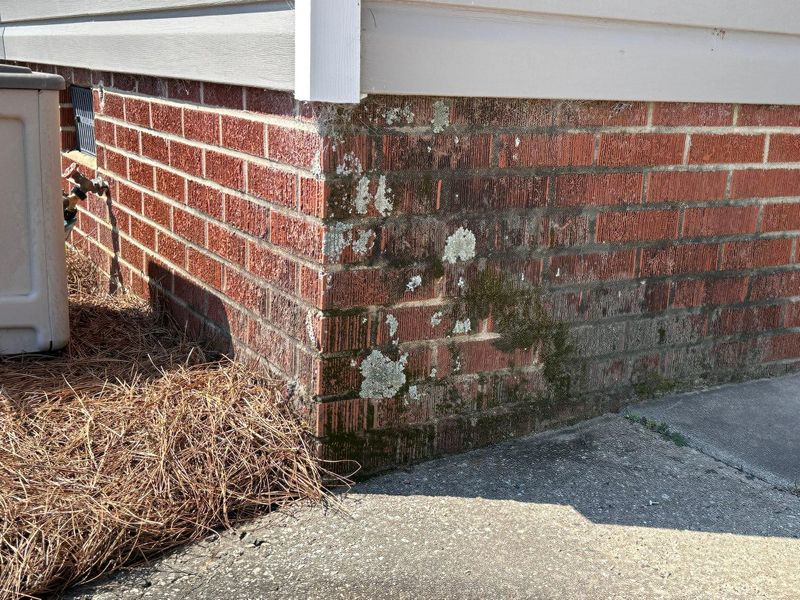 Concrete Cleaning