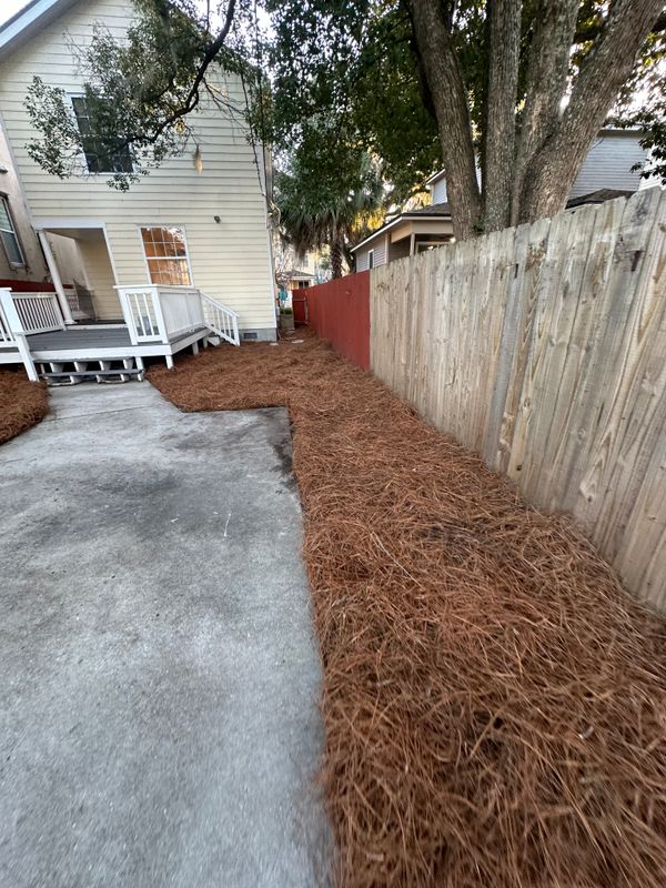 Pine Straw Installation