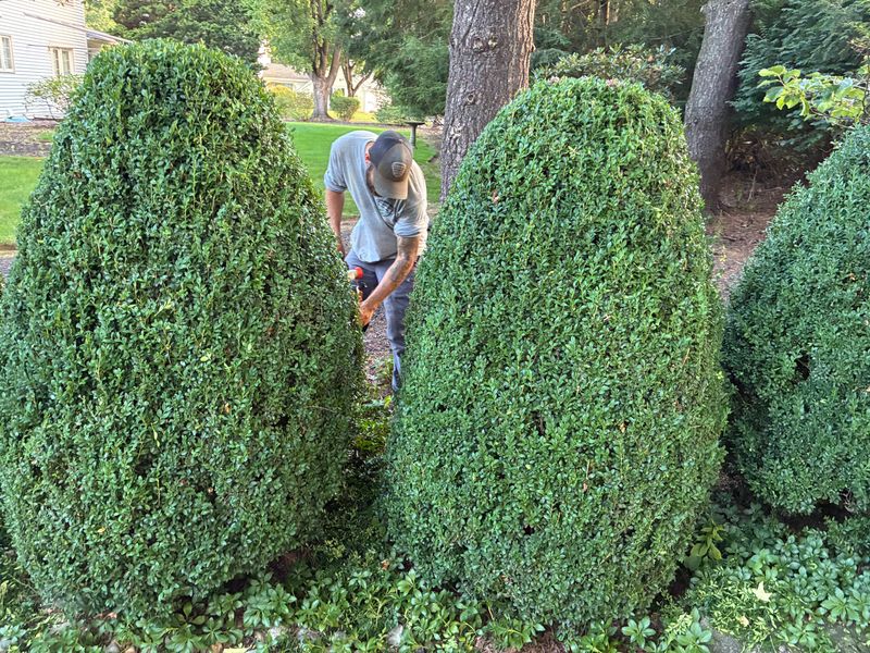 Landscape Design & Installation