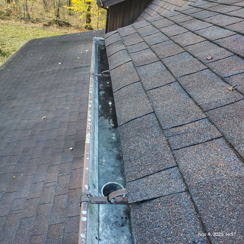 Gutter Cleaning