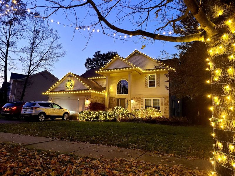 Christmas Light Installation