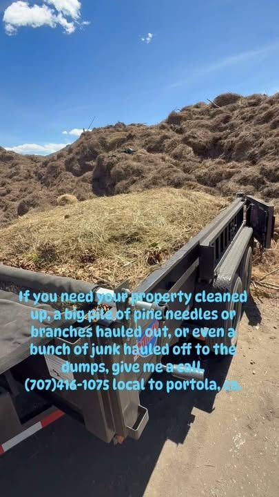 Junk Removal