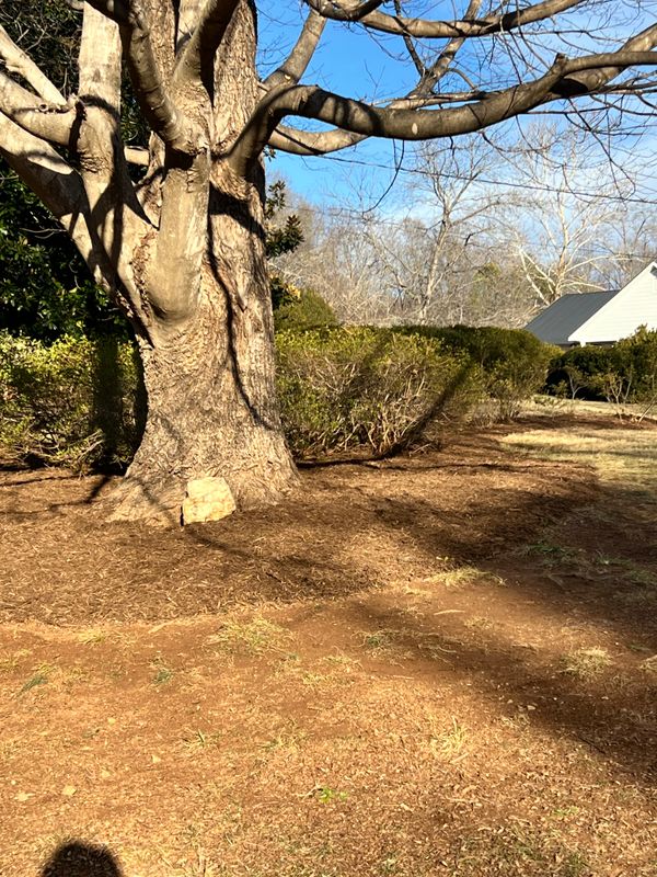 Landscaping