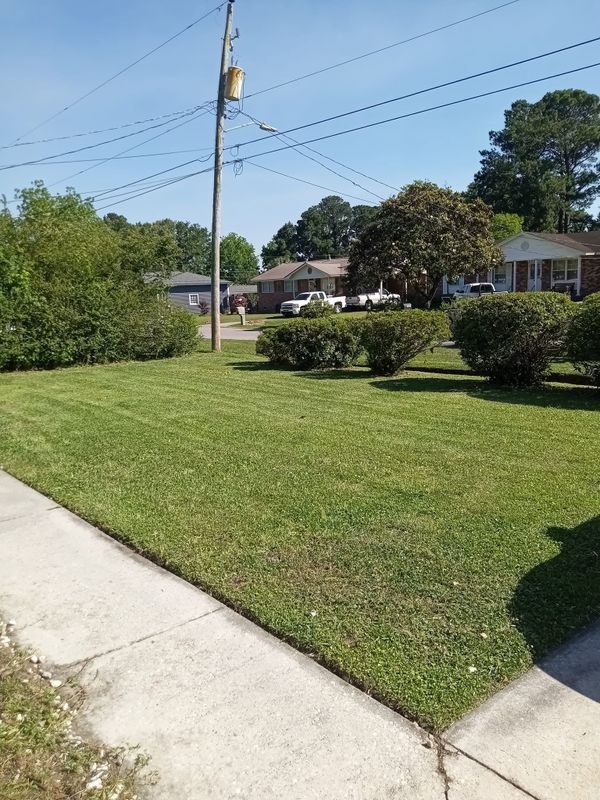 Lawn Maintenance