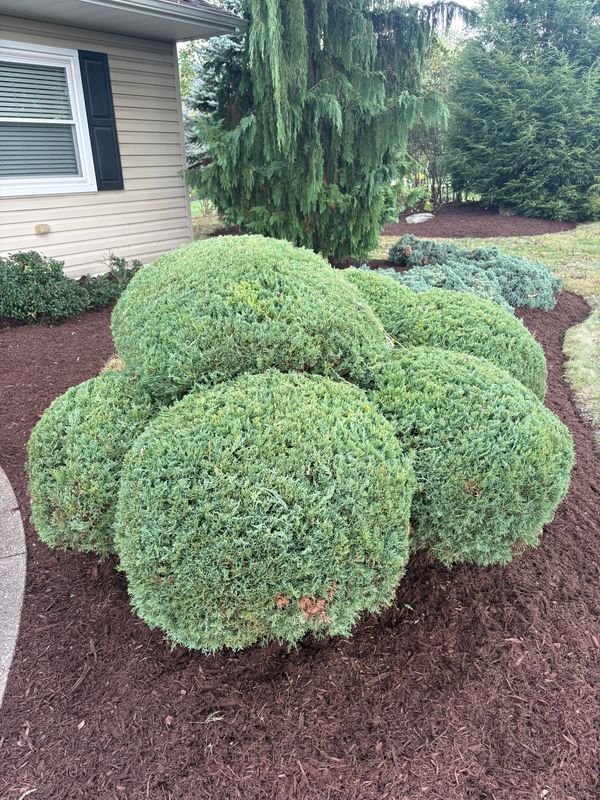Lawn Care gallery