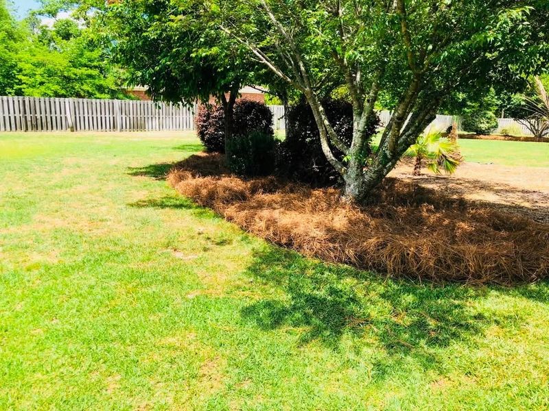 Lawn Maintenance