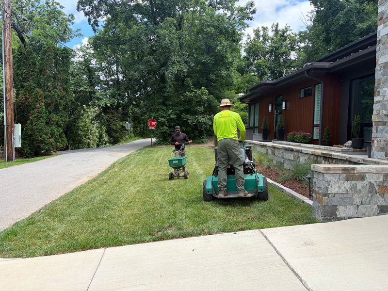 Lawn Care Services