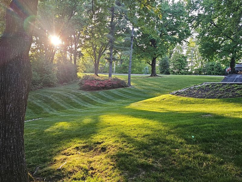 Lawn Maintenance