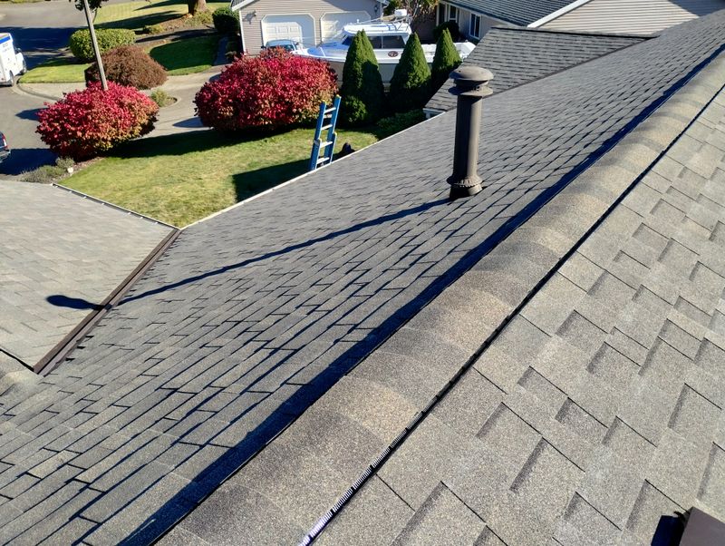 Roof Repairs