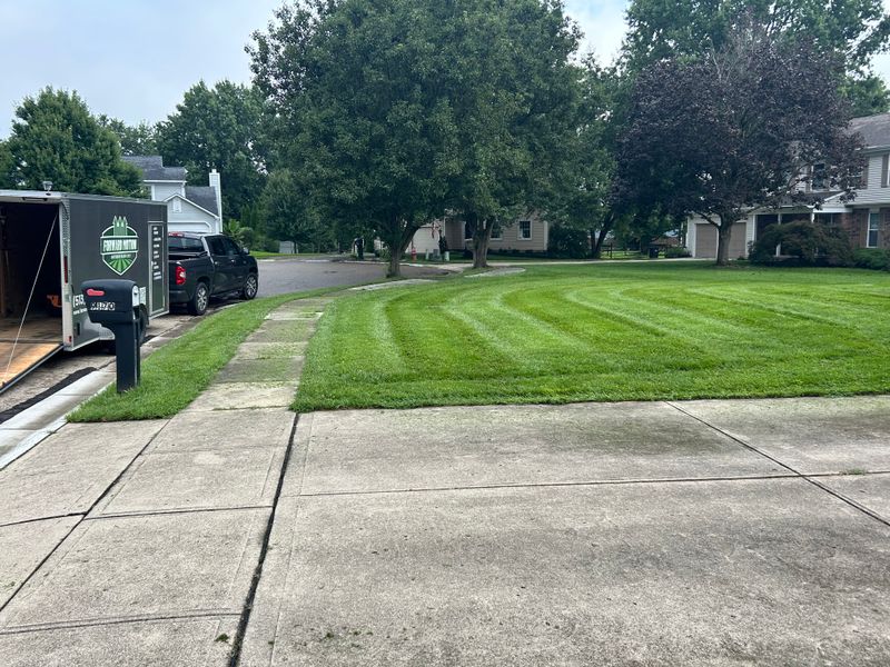 Transformative Outdoor Oasis: Elevating Lawn Care