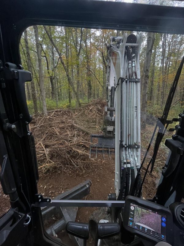 Tree Removal