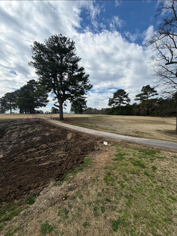 Land Clearing