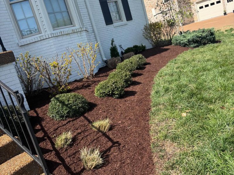 Landscape Design