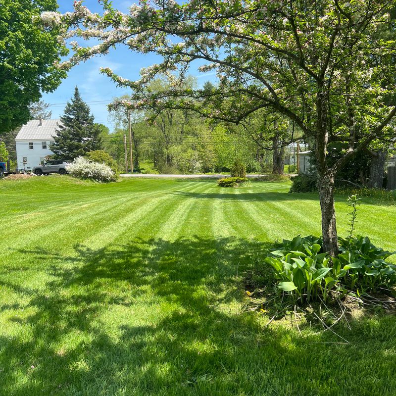 Mowing