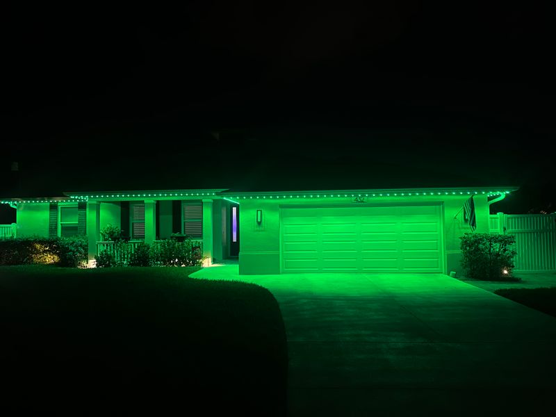 Christmas Light Installation 