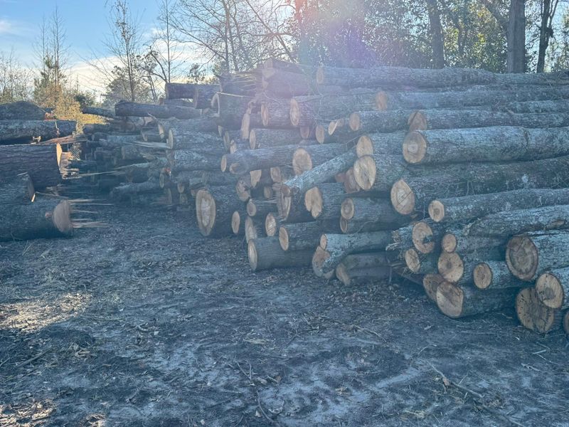 Forestry Mulching