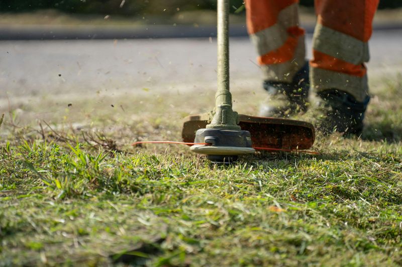 Lawn Maintenance