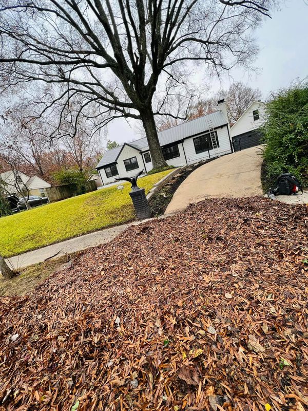 Landscaping gallery