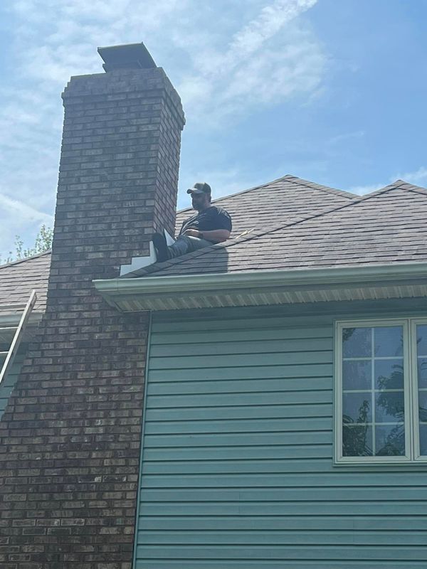 Rodent Control Services
