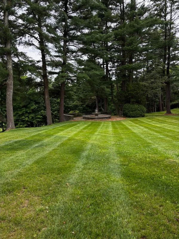 Lawn Maintenance