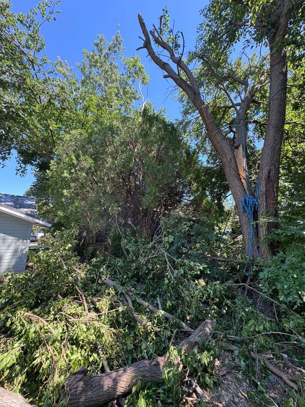 Land Clearing