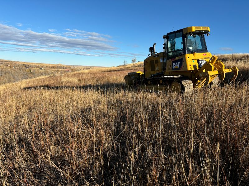 Site Preparation