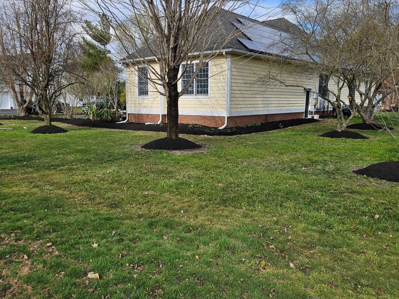 Lawn Maintenance