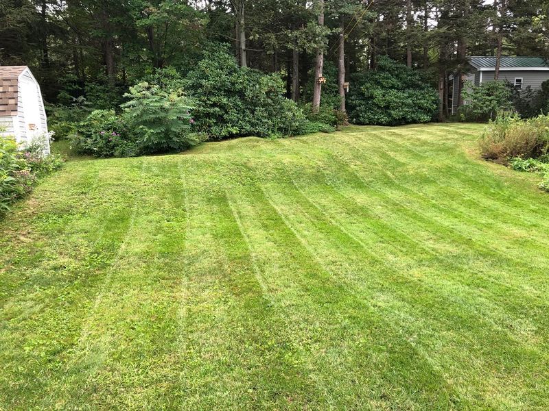Lawn Maintenance