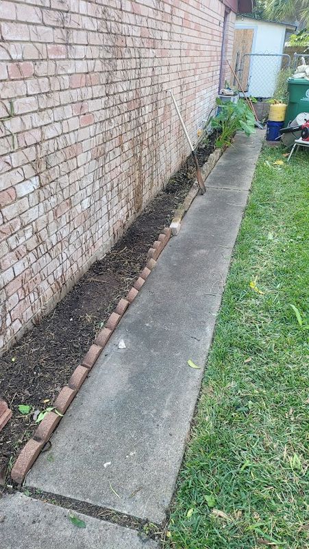Shrub Trimming