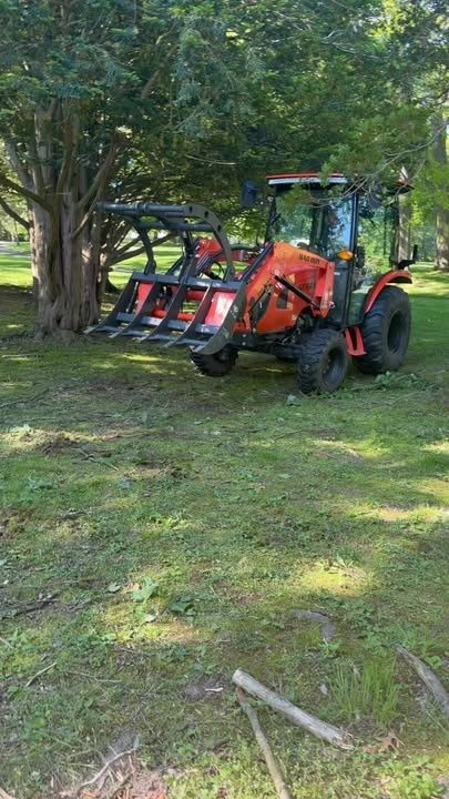 Tree removal