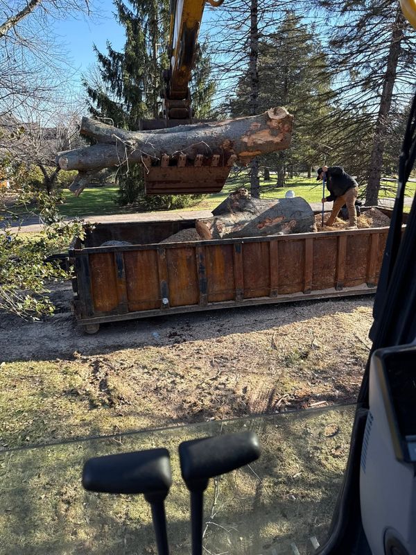 Tree Work