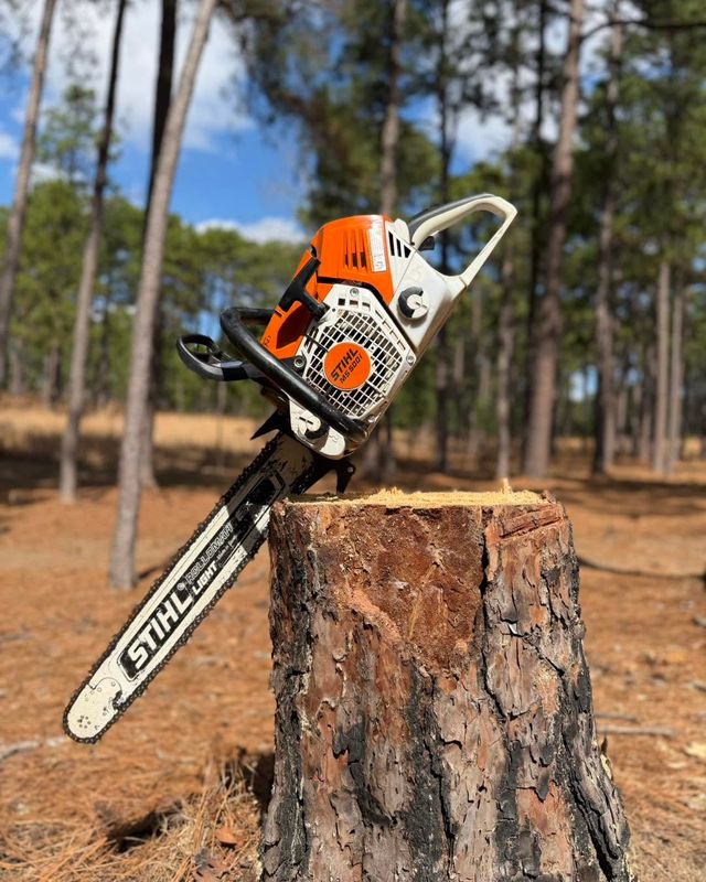 Stump Removal