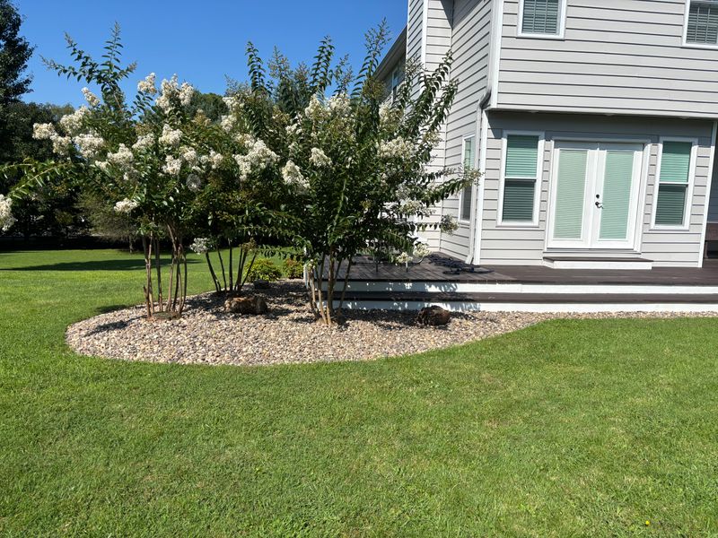 Landscape Design