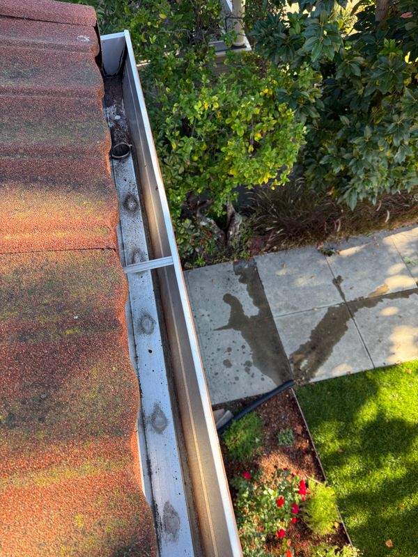 Gutter cleaning 