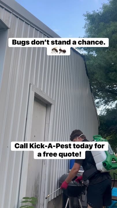 Commercial Pest Control