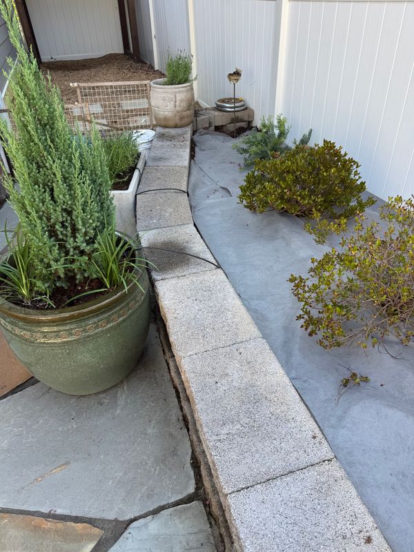 Planting