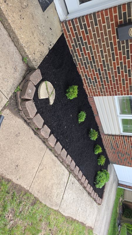 Garden Design and Installation
