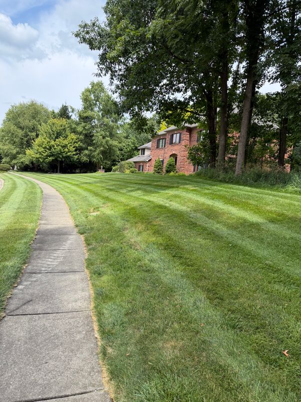 Lawn Mowing and Maintenance