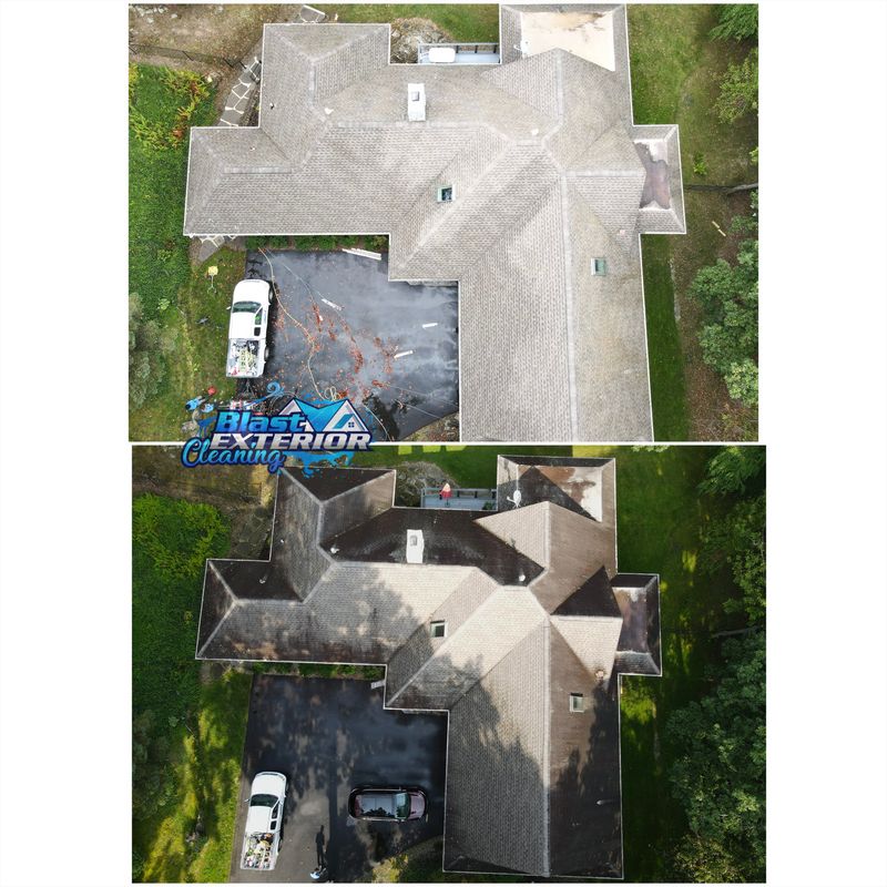 Driveway and Sidewalk Cleaning