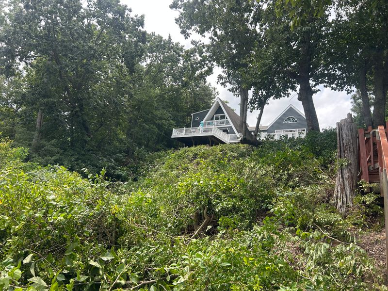River Bank Clearing  gallery