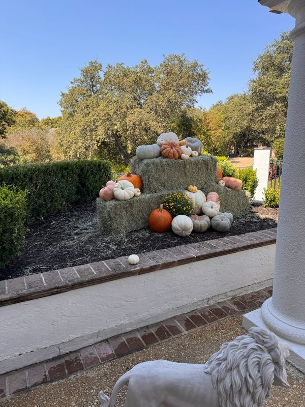 Fall Decorations 