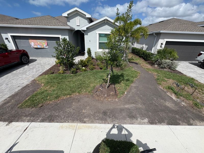 Landscaping 