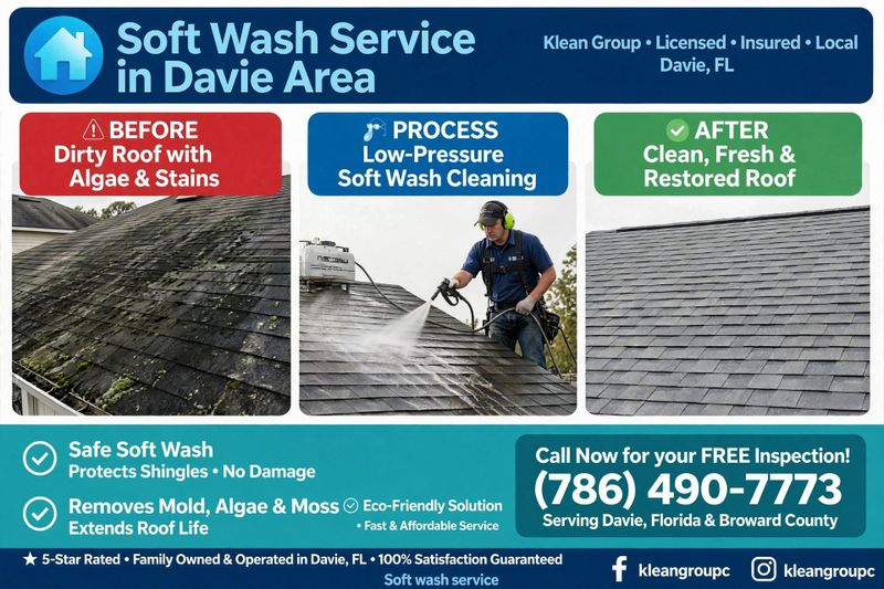 Soft Washing Services