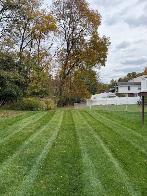 Mowing