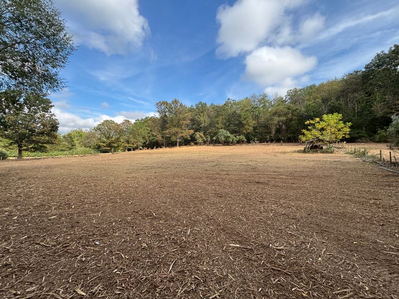 Land Clearing