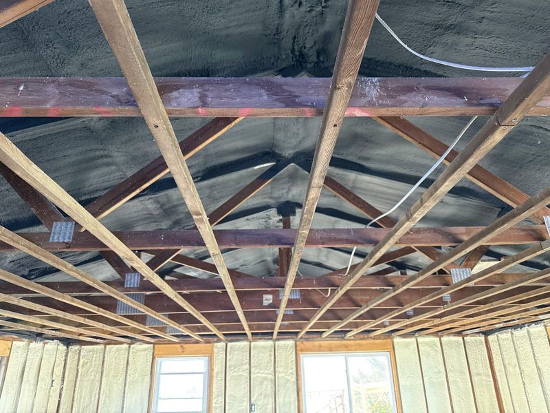 Spray Foam Insulation