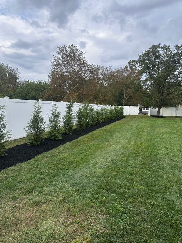 Garden Design & Landscaping