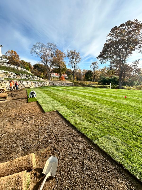 Landscaping